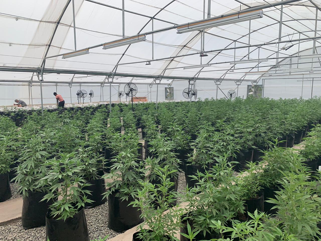 121ab287-8d8a-4680-99cf-a5ff4400f492