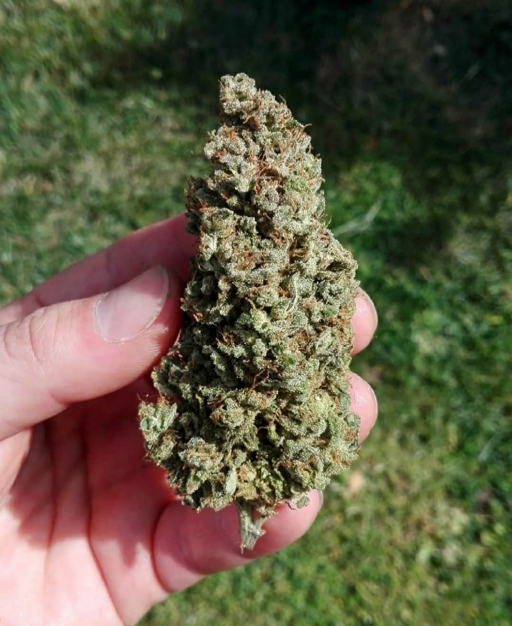 2fcf2ee4-887d-4995-b04d-ae13bbcc05ef