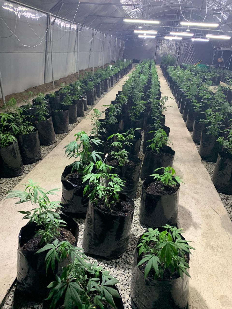 4f464211-06ed-4fb2-b52e-03d409cd2c79