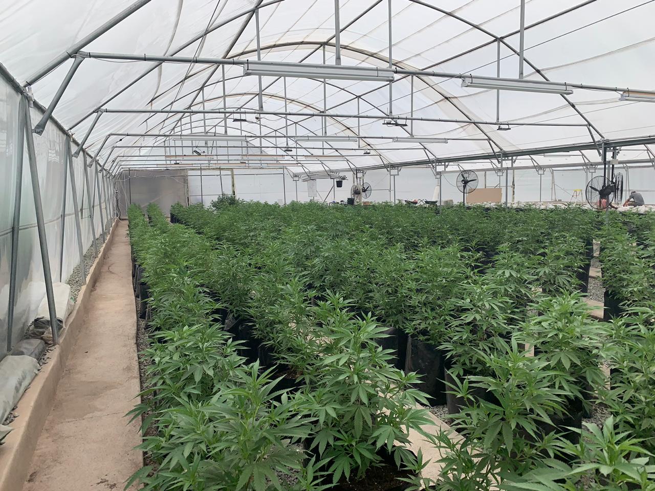 58dbccd3-9afc-4d7b-bdb3-d6e3ff9b3059