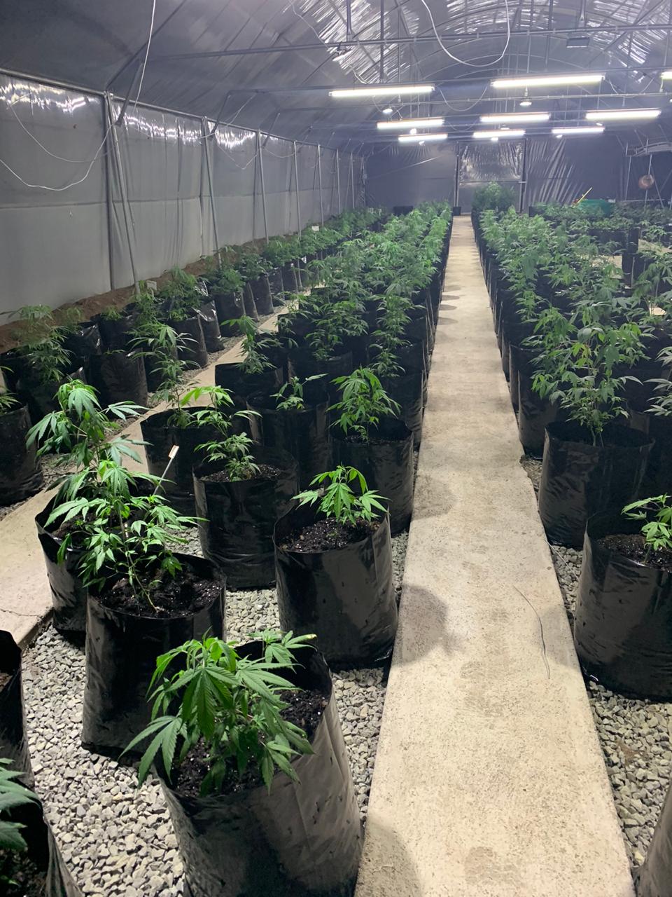 67f78d81-2d7e-4cd1-b9ae-2fb35964cb98