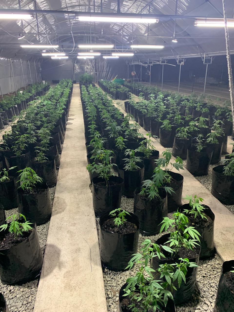 6c86bf04-c8b1-4e43-97fa-8a4e91b49aac