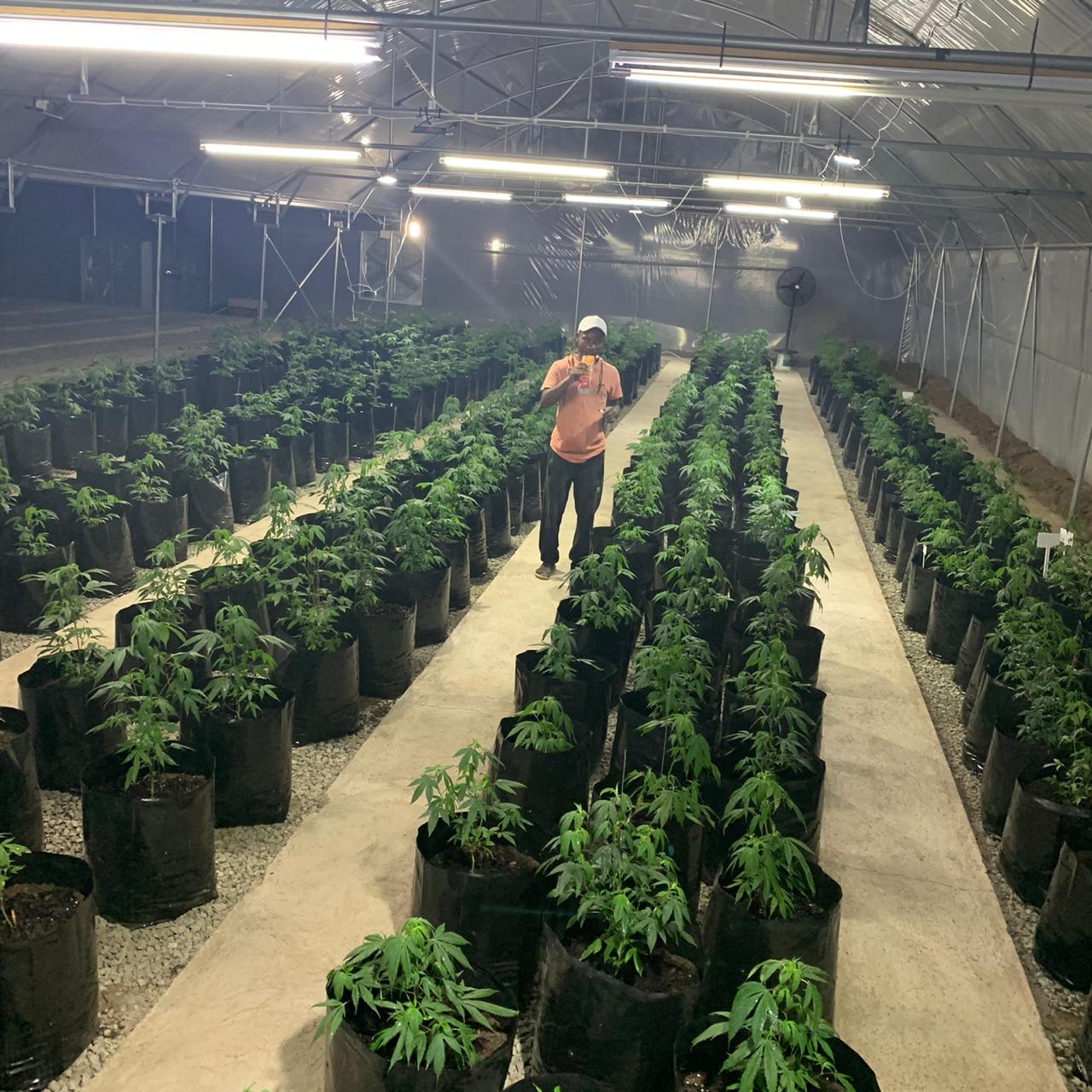 6d4a6960-f18a-4517-a0da-2ceb5244493b