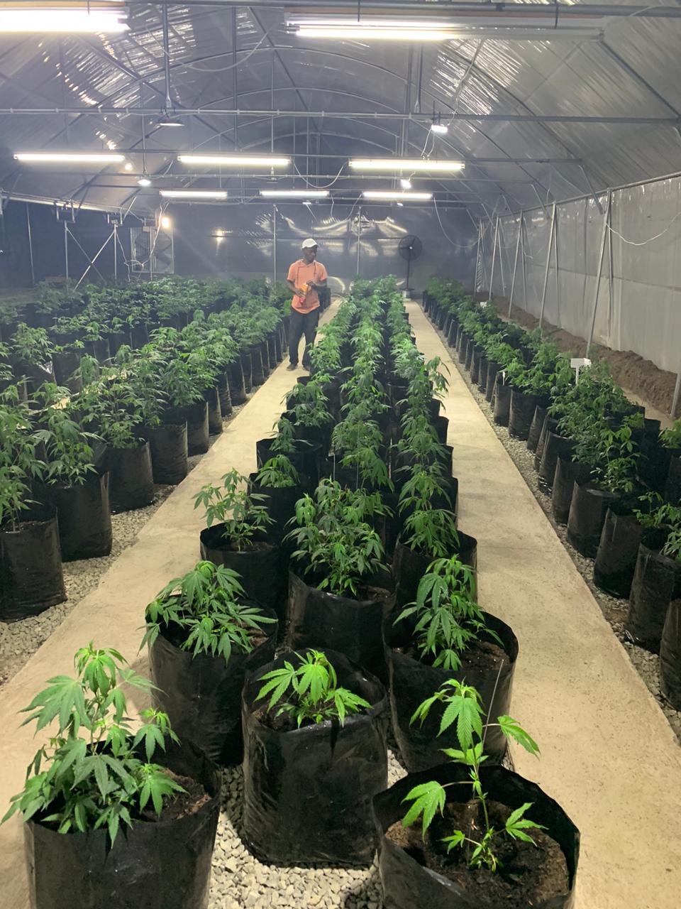 7304d8d1-c99e-4a34-b448-d87f8ffbc1d8