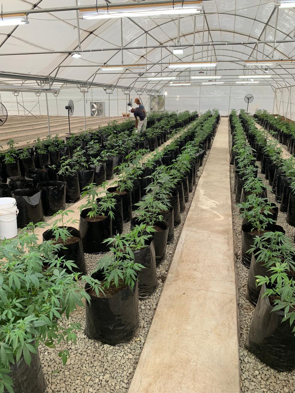 77d342da-9ef5-4e17-89f5-cd560d624cb6