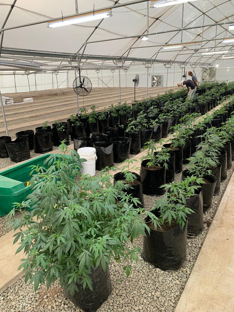 80194999-12aa-4f0e-8b2f-a242f1eb7431