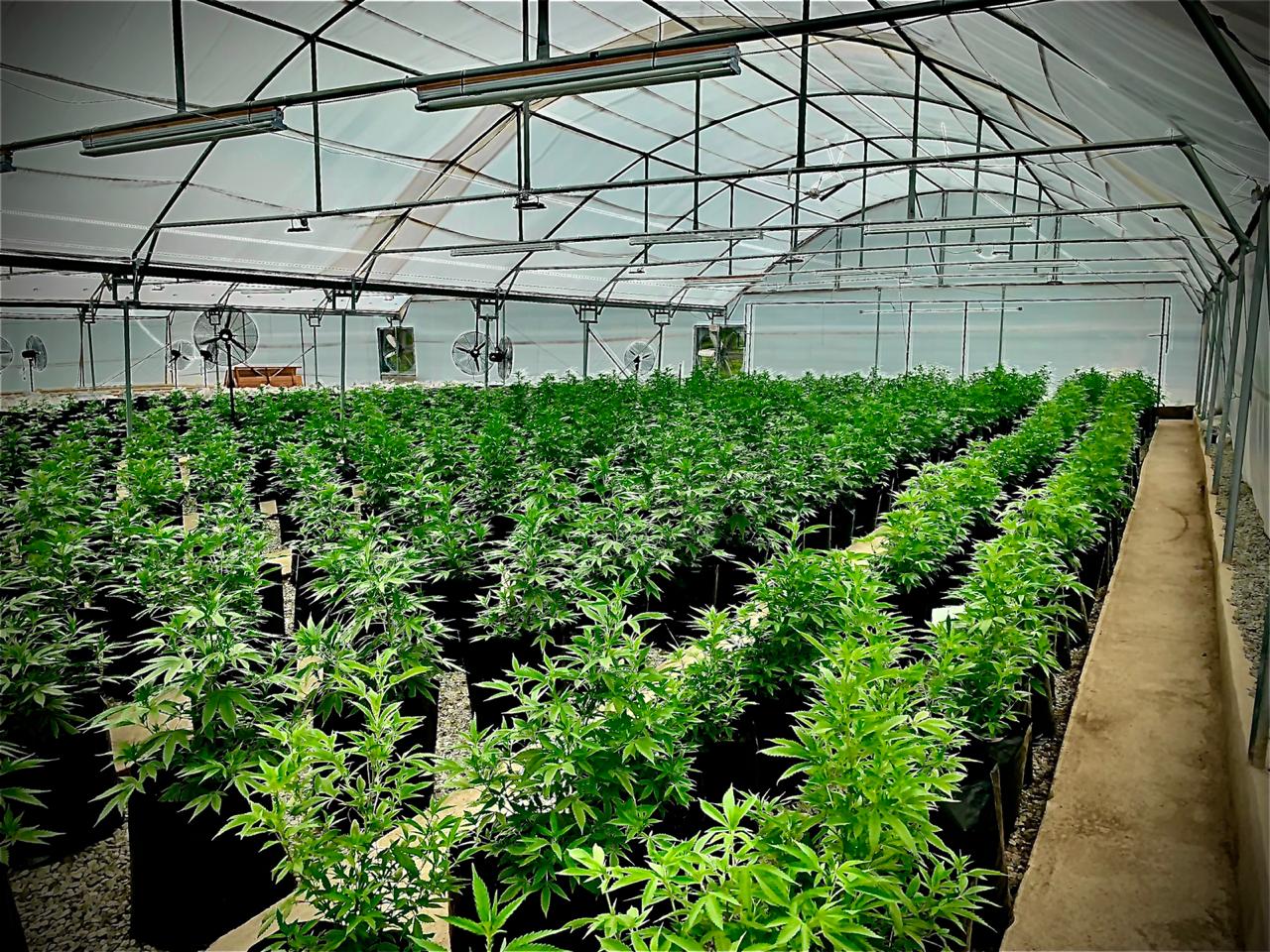 8ac1265d-7f18-4c87-bb2b-de7a5b9a1708