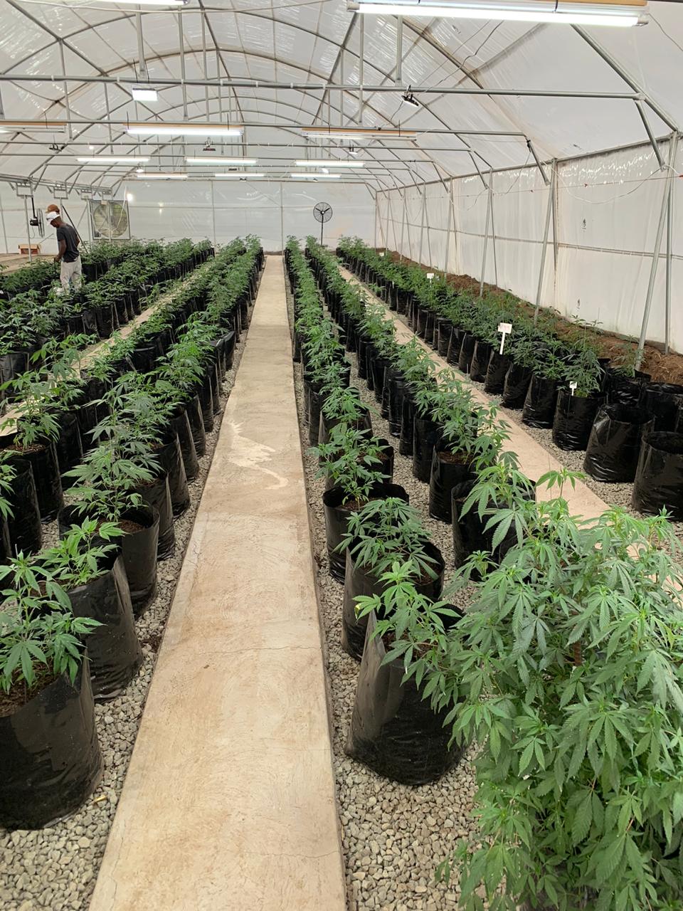 9ca361fa-6ab3-4d6d-b585-821d4d1841ae