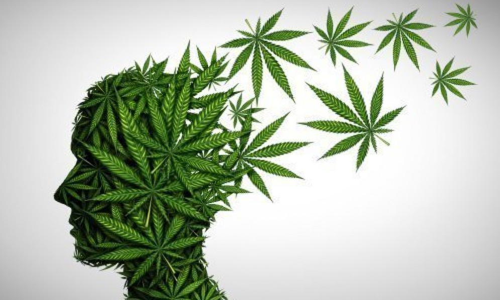 The-Effects-of-CBD-on-Brain-Function