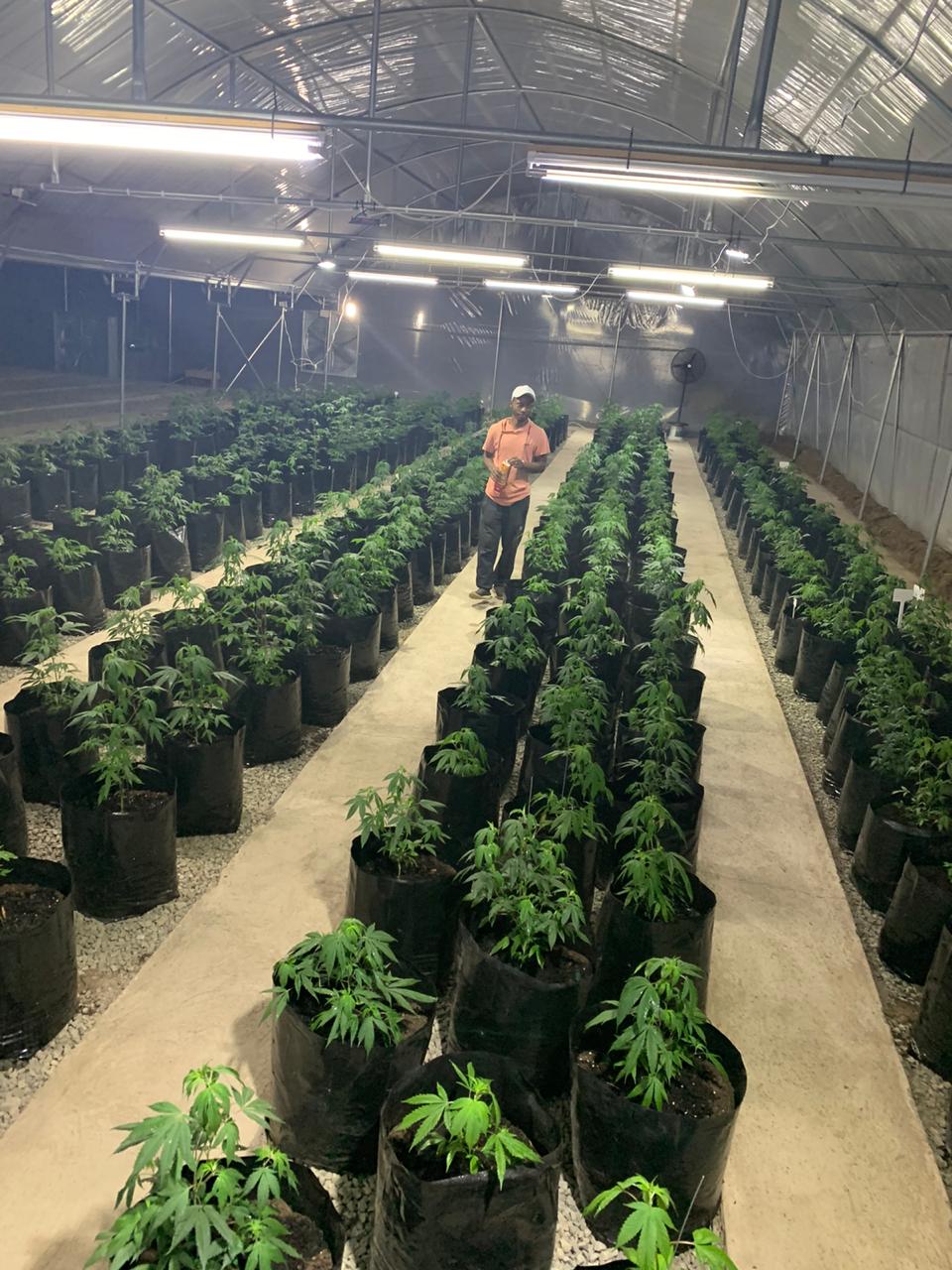 aba176ae-aca8-4f74-8d7a-e6c3bb23658d