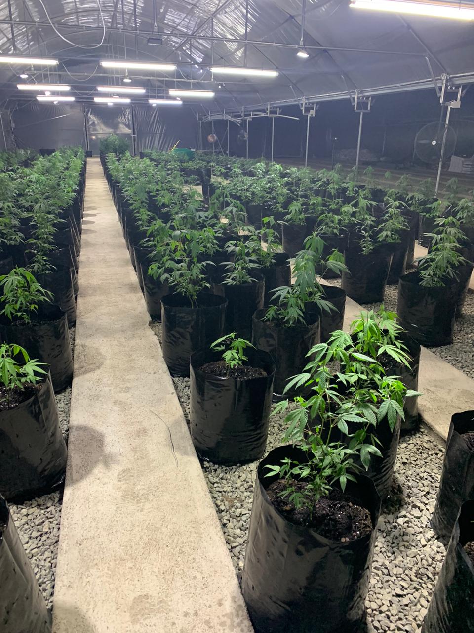 d92c9fab-e773-4a07-82af-373ba96892fc