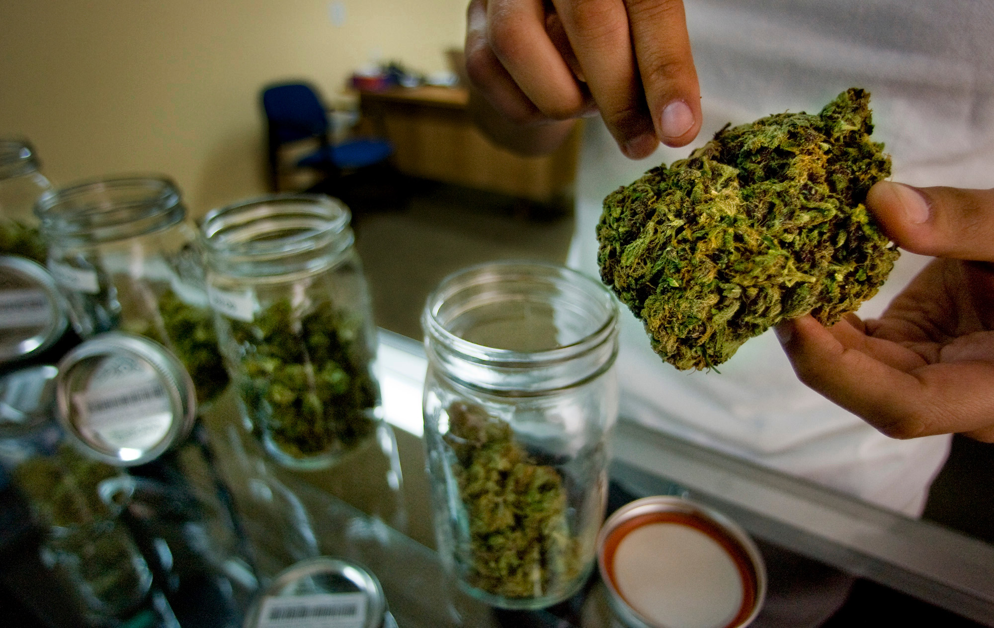 Voters in November will get to choose whether to allow medical marijuana dispensaries San Bernardino with certain restrictions, and opponents of the measure might compete with another ballot item that allows dispensaries with a different set of restrictions. (Staff file photo/Southern California News Group)